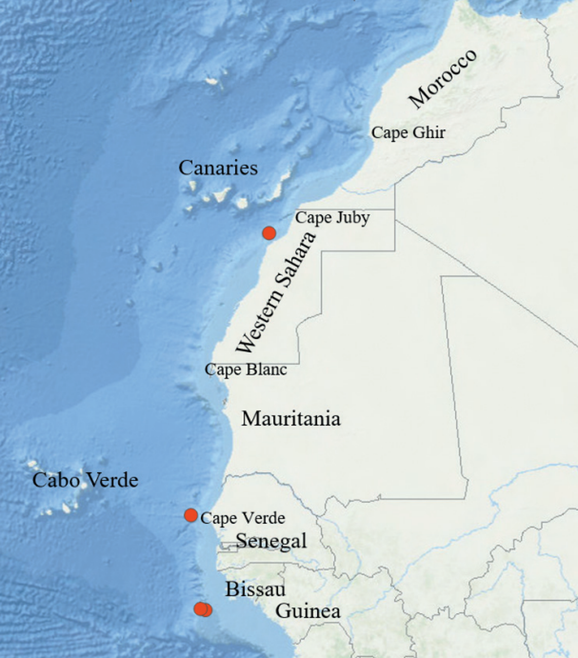 Red dots on the map show where researchers found Astrodendrum juancarlosi.