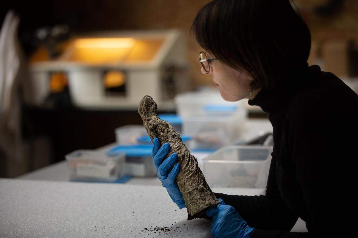 Archaeologists were left with more questions than answers as they uncovered some of the home’s decorations.