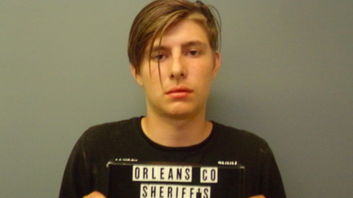 Brandon Foster, of Albany, N.Y., faces an attempted murder charge after police say he crawled into his grandmother's home, stabbed her with a knife and tried to choke her before taking a cell phone and some cash.