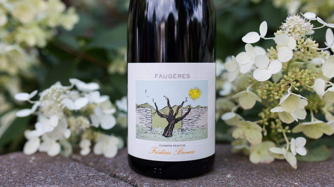 The label on a wine bottle can be telling about what’s inside. But is what you see always what you sip?