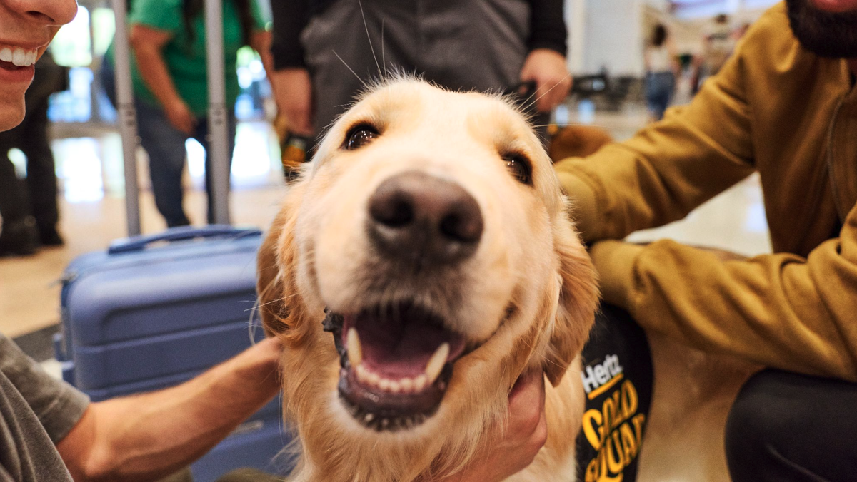 A smile from the Hertz Gold Squad