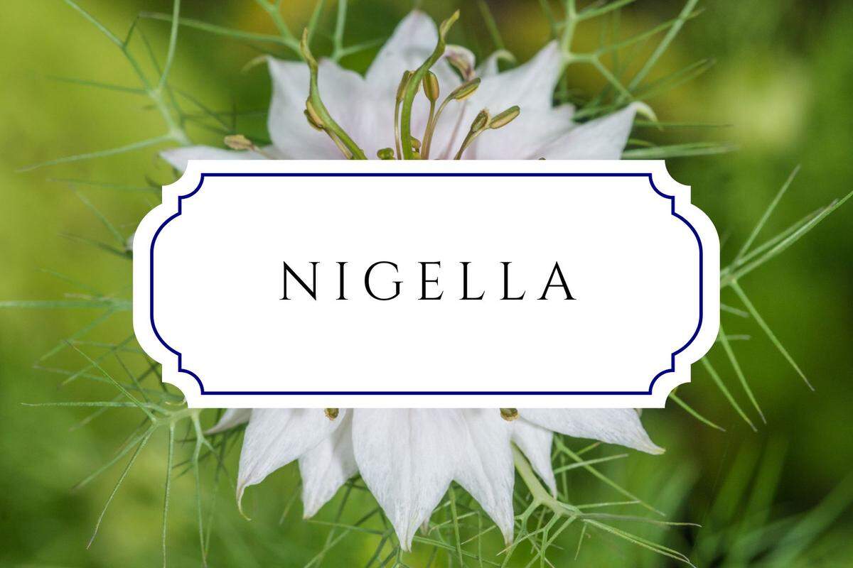 botanical baby names nigella