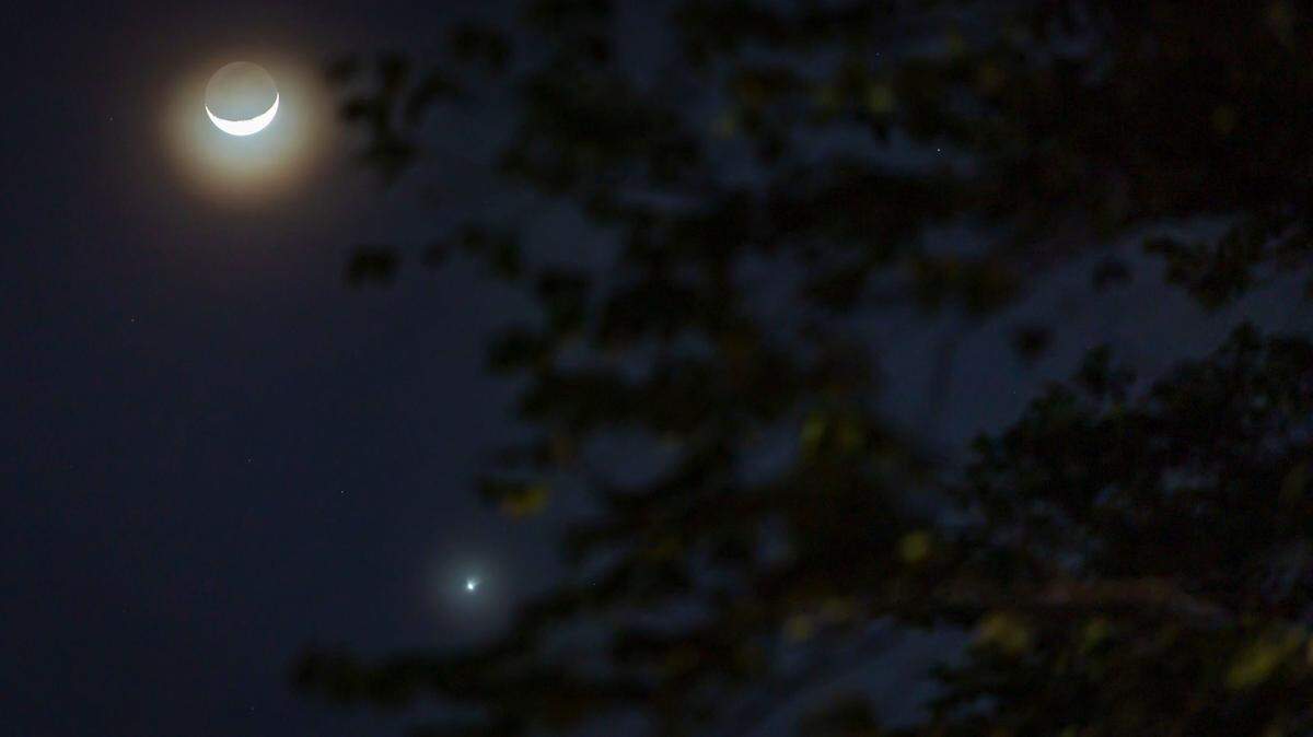 South Florida residents enjoyed clear skies revealing a crescent moon and a rare bright Venus, sparking social media buzz.