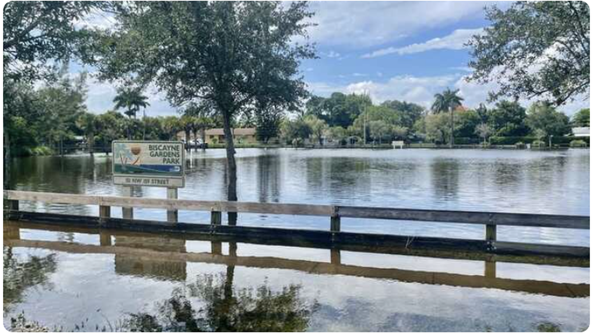Biscayne Gardens Park floods deeply on rainy days, which is why a neighbor nominated it as a spot for a potential green infrastructure project.