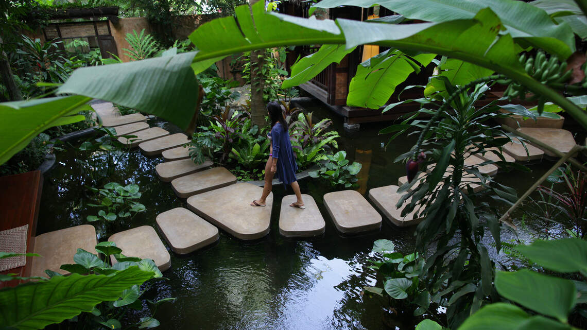 Why Gut Health Retreats Are Emerging as One of Wellness Travel’s Fastest-Growing Trends