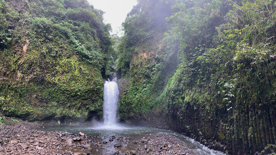 In the largest rainforest in Madagascar, a research team searched for “lost” species.