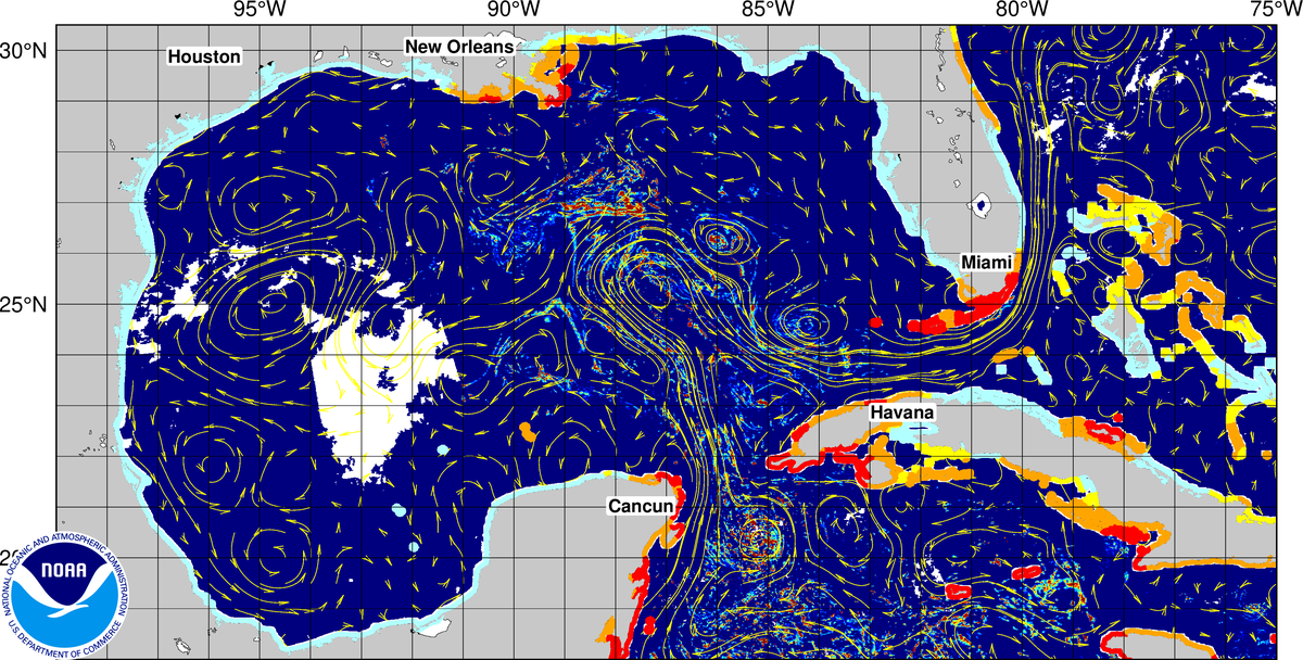 NOAA CoastWatch tool for daily updates of how much seaweed could wash ashore. Red means high, orange is medium, yellow is a warning and blue means low.
