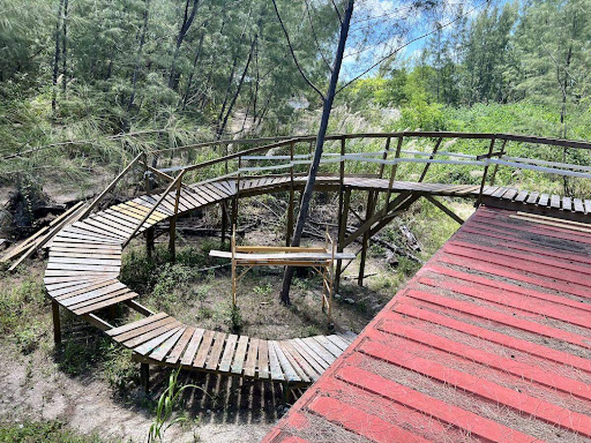 An advanced mountain biking trail in Virginia Key.