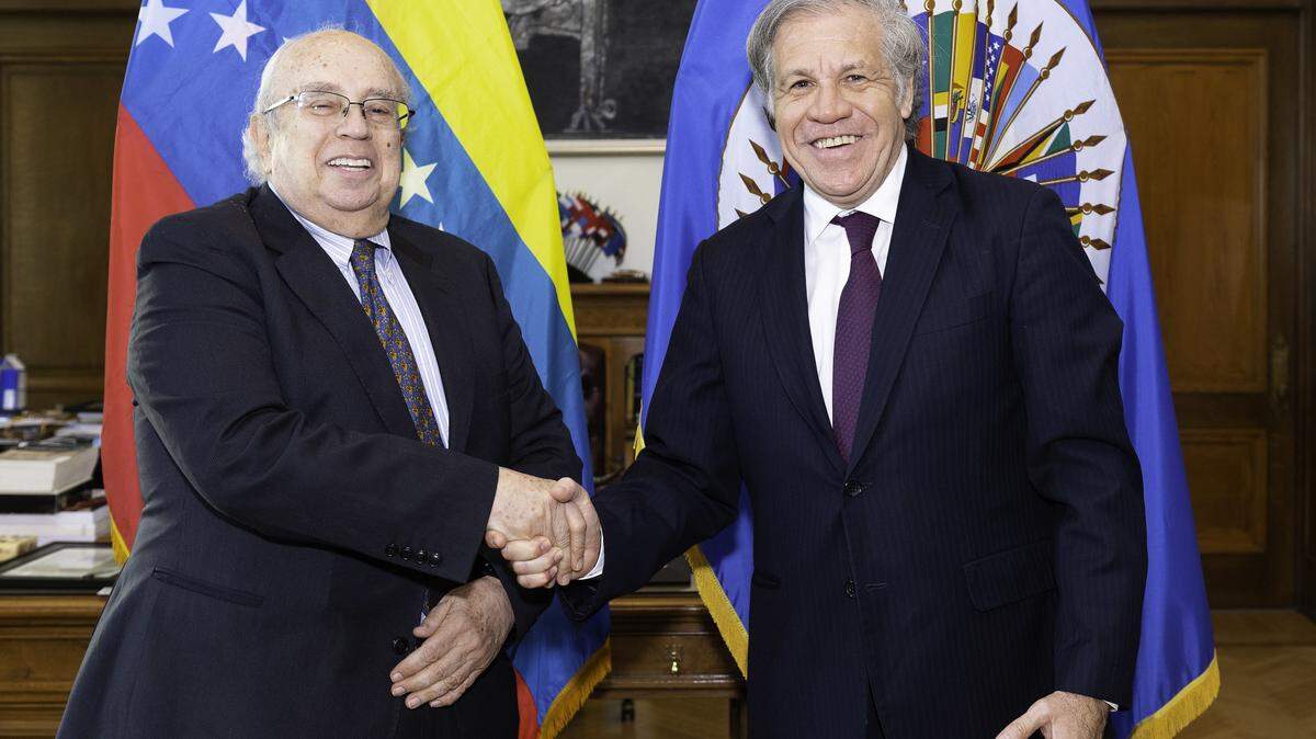 Venezuela’s representative to the OAS, Gustavo Tarre, left, shakes hands with OAS General Secretary Luis Almagro in this photograph from April 2019.