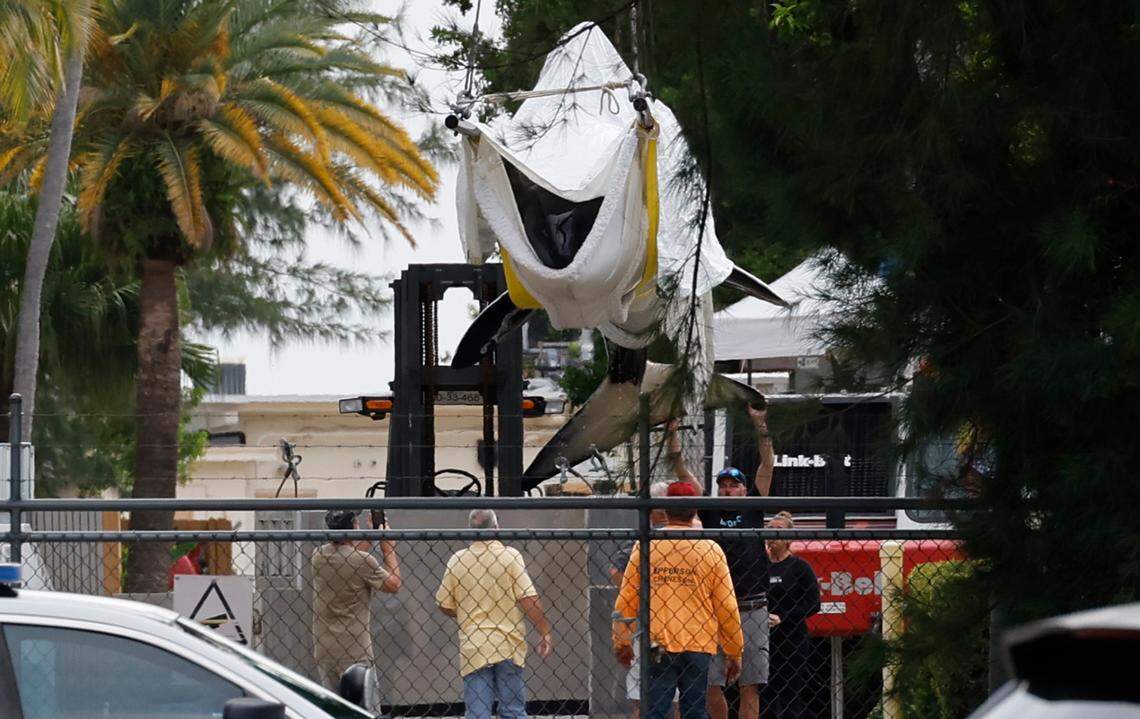 Lolita, the orca who lived in captivity for five decades, is lifted after she died at the Miami Seaquarium in Miami on Friday, Aug. 18, 2023. She is lifted in a sling that appears to resemble the equipment Seaquarium planned to use to relocate her to a sea pen in Washington.