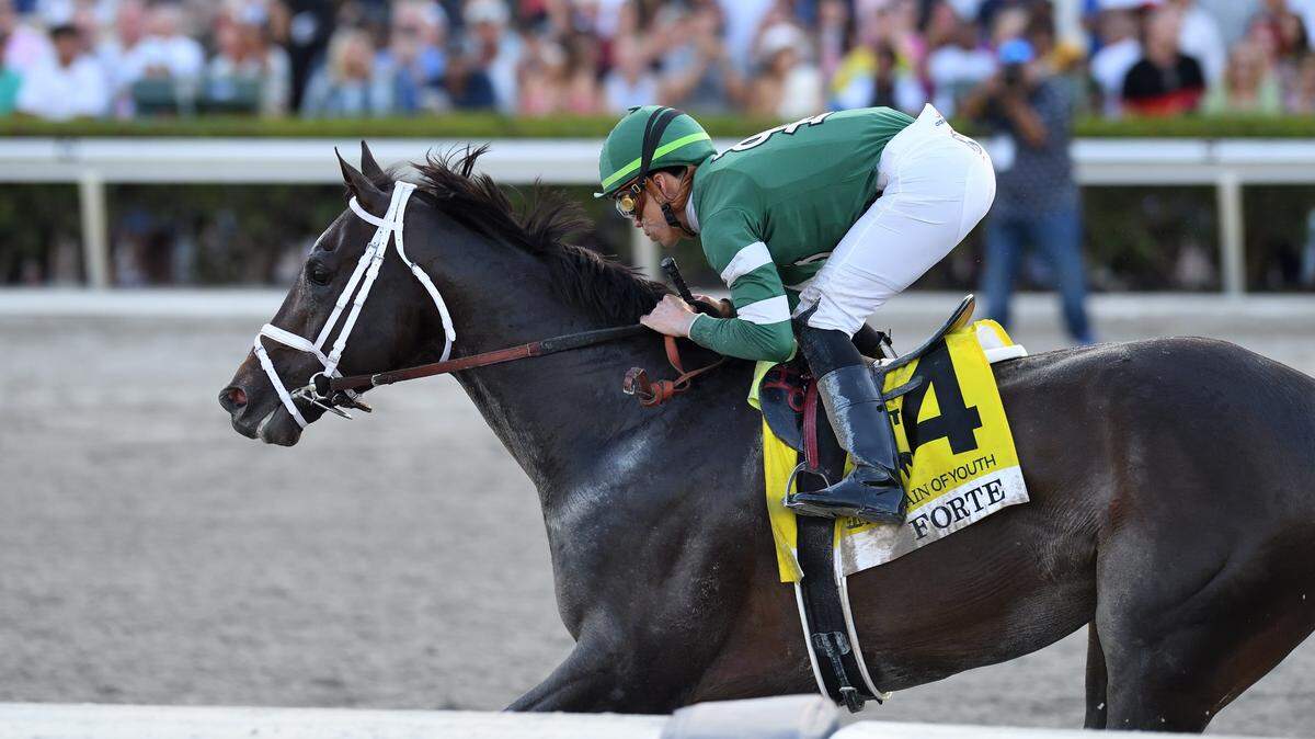 Forte is the favorite for the $1 million Florida Derby at Gulfstream Park and is the nation’s No. 1 contender for the Kentucky Derby.
