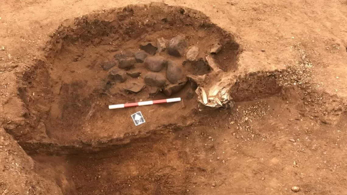 Archaeologists excavating the A428 Highway found animal bones and pottery used like a “crockpot” from a communal meal during the Iron Age.