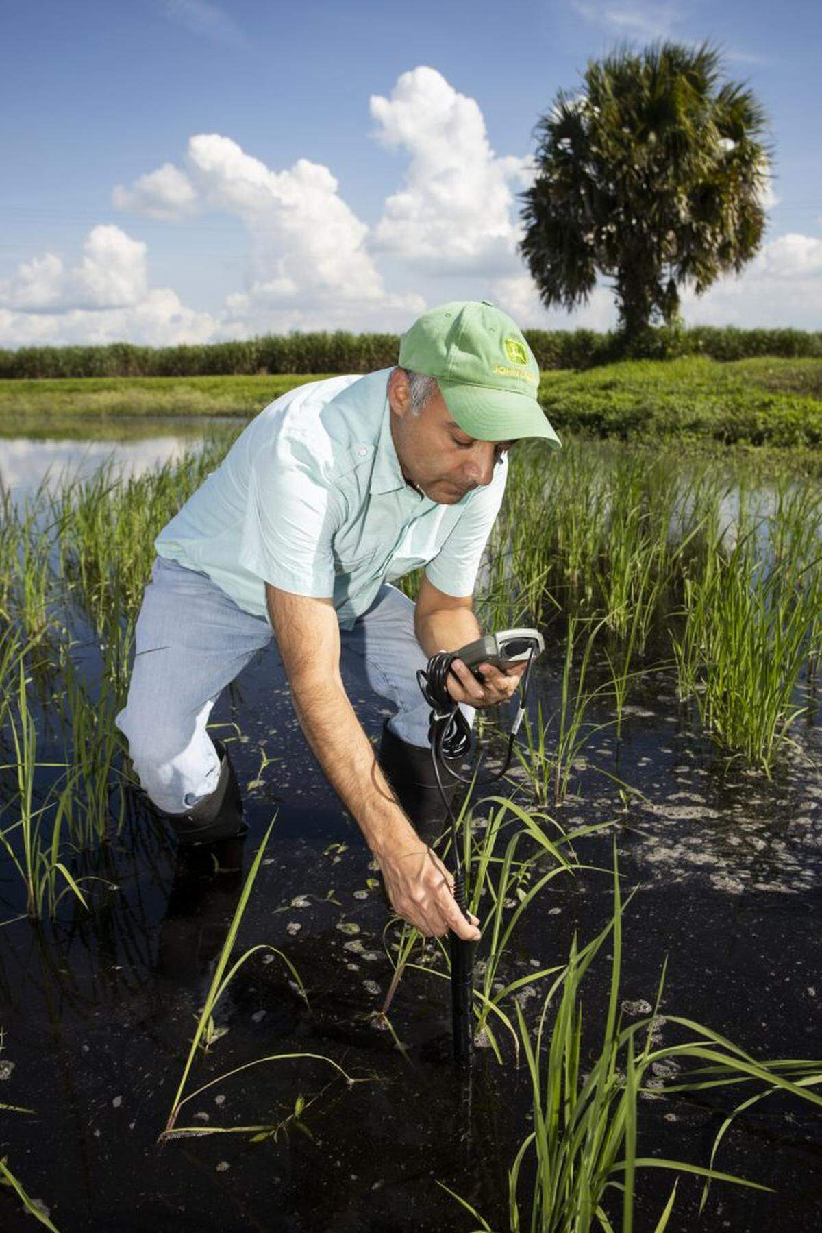 Jehangir Bhada conducts water quality monitoring in a flooded rice field at the Everglades Research and Education Center in Belle Glade, Florida.