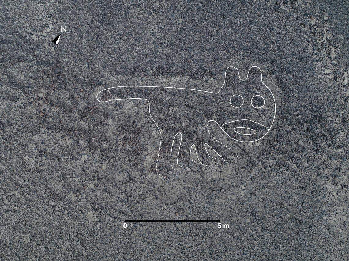 A geoglyph of a cat.