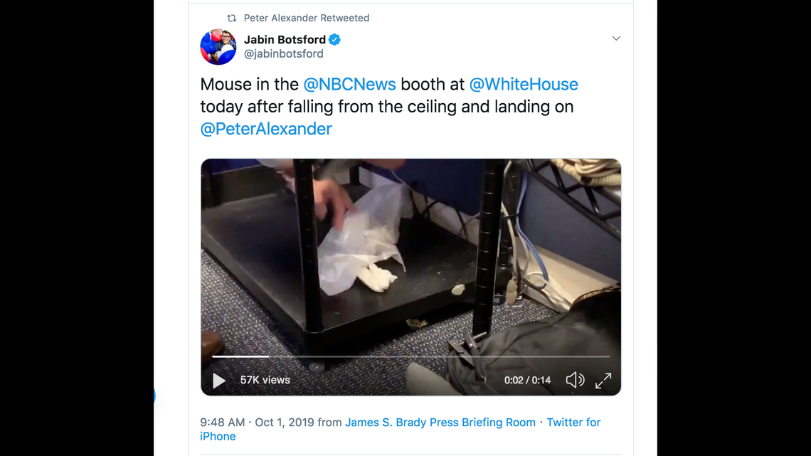 NBC White House correspondent Peter Alexander posted to Twitter saying a mouse fell from the ceiling and into his lap in the White House briefing home.