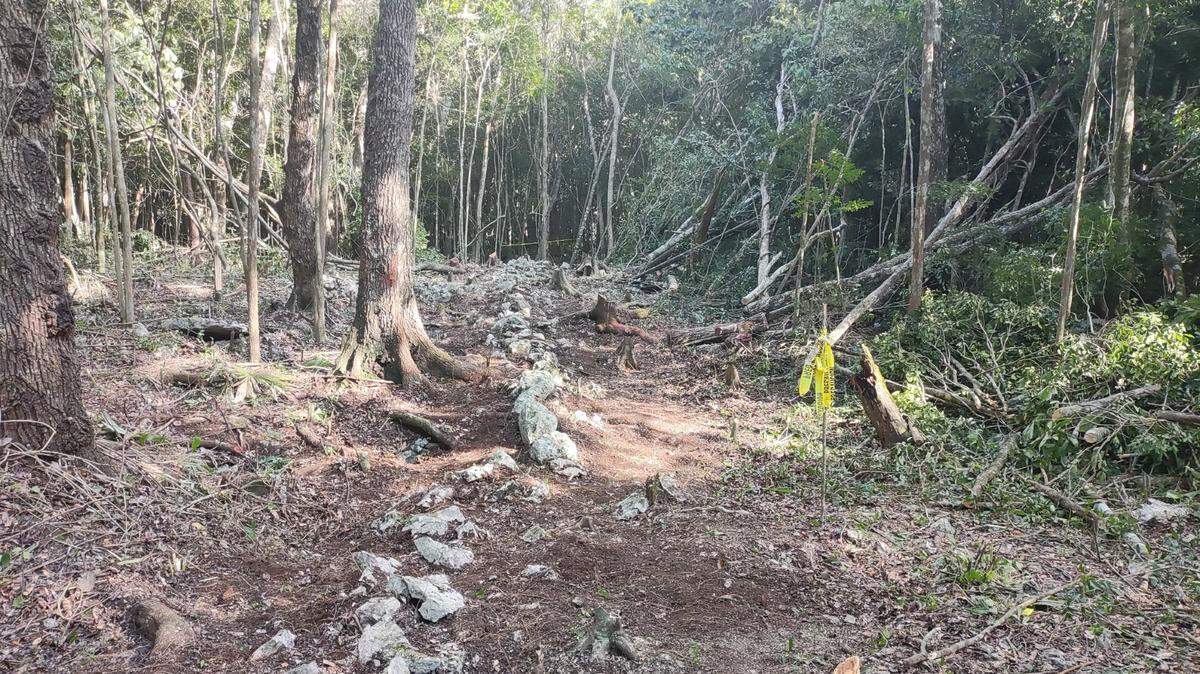 The walls had unique shapes, suggesting they weren’t part of a larger settlement, researchers said.
