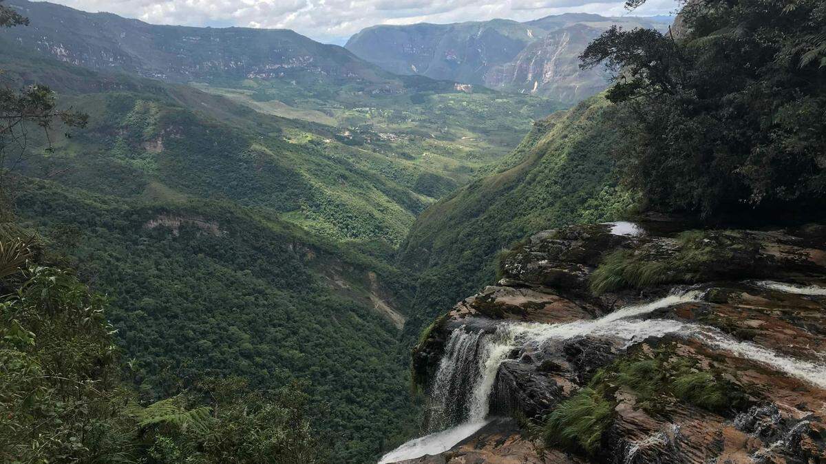 In the Andes mountains in central Peru, a sought-after aquarium fish was discovered as a new species.