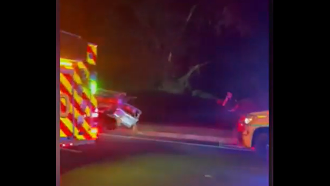 Video shared by station WJAX shows the collision propelled logs&nbsp;off the trailer onto her car.