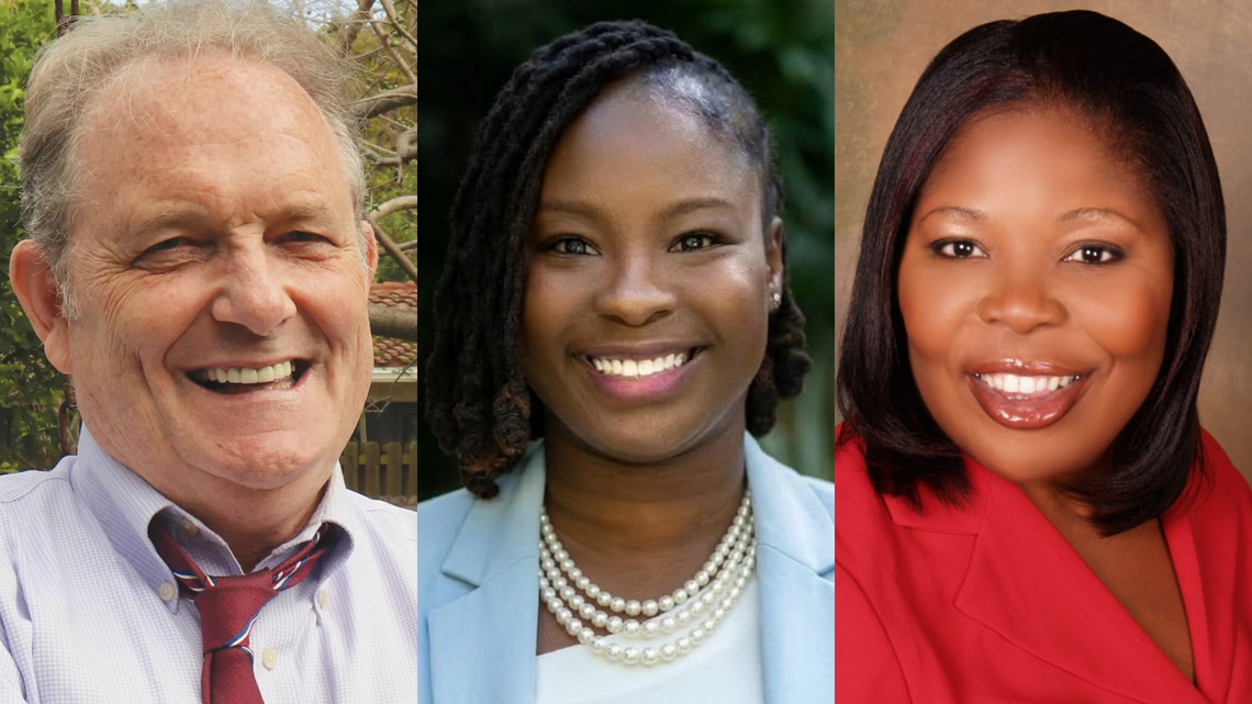 Herald endorsement: Florida House District 108 Democratic primary | Opinion