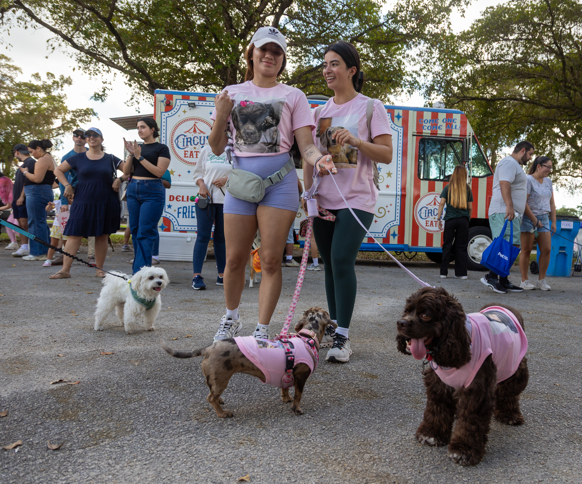 Alexandra Lopez and Meagan Alfaro with their dogs, Lady, the cocker spaniel and Vienna the mini doxin.