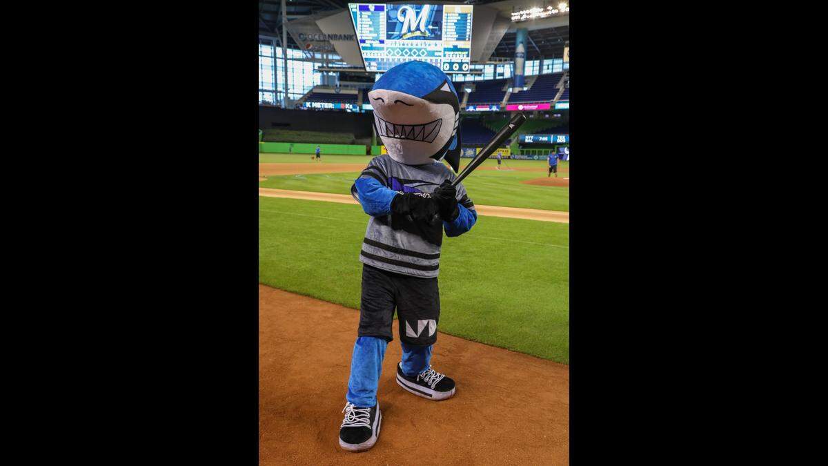 Finn The Shark