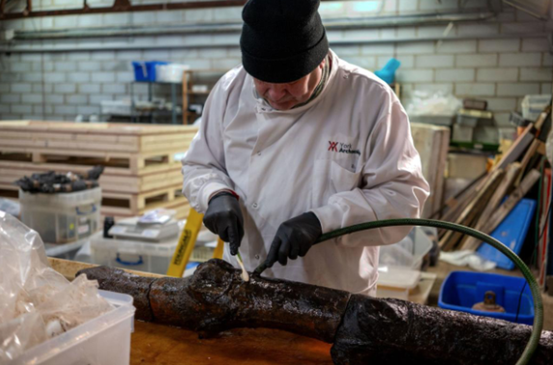 The stakes were preserved in the environment of the moat, archaeologists said.