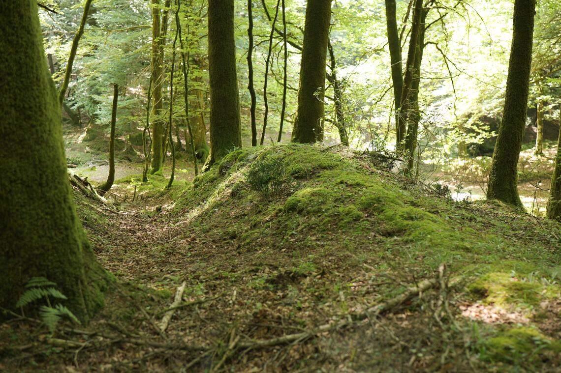 The wall was part of a larger fortification that prevented Spartacus and his troops from reaching resources before the harsh winter in the mountains, officials said.