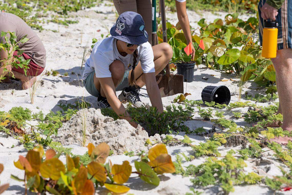 Volunteers gathered for dune restoration with Surfrider Miami during the World Ocean Celebration 2024.