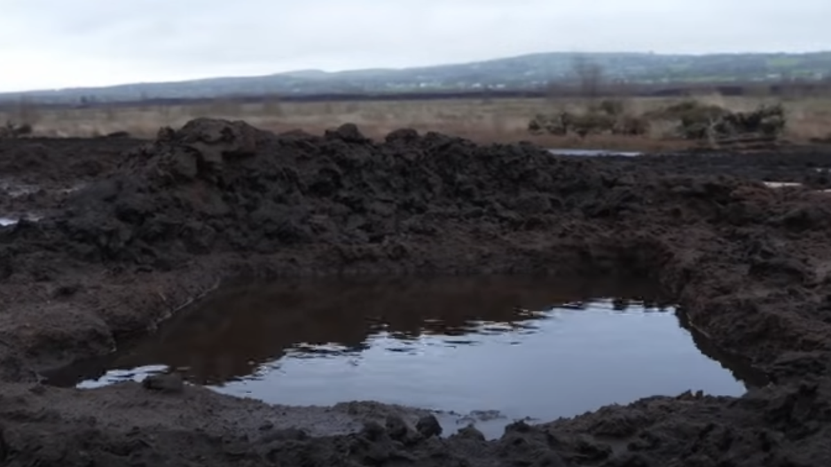 An ancient body found in a Northern Ireland bog was likely decapitated and sacrificed, researchers said.