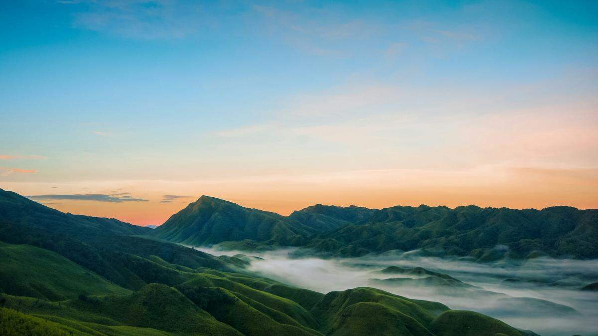 In the mountainous rivers of Nagaland, India, a new species was found in a river drainage.