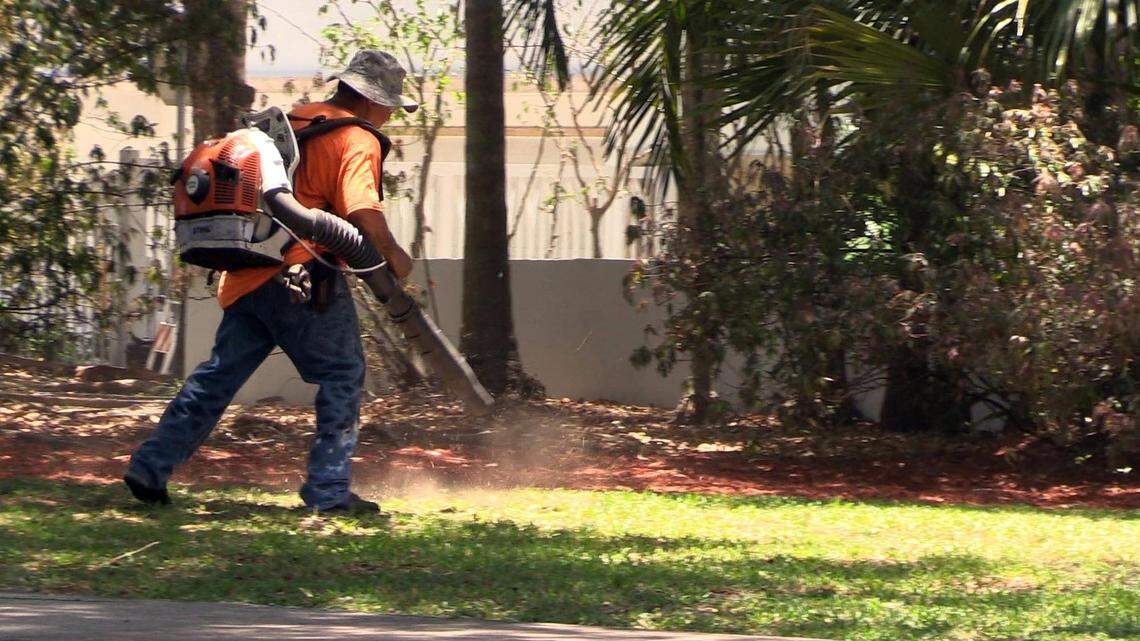 Some Miami-Dade cities ban gas lawn equipment. Florida lawmakers want to end that