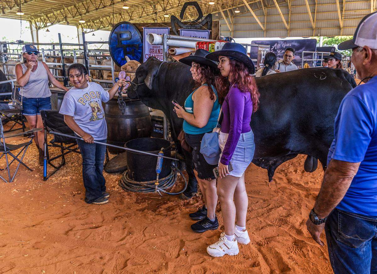 Lissette Salazar (far right) and Lorena Cardona (center) posed as Samantha Carrillo (far left) holds Magic a winner bull from her father's Venecia Cattle Company, of Okechobee, Fl, during the Miami-Dade CountryFest 2026, at Tropical Park, an annual festival free of charge event that offers a weekend of entertainment for all ages, in Miami on Saturday, April 25, 2026.