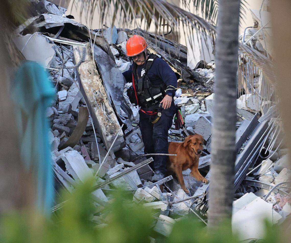 Fire rescue personnel conduct search and rescue with dogs in the rubble at Champlain Towers South condo, a part of which collapsed in the early morning Thursday, June 24, 2021, in Surfside, Florida.