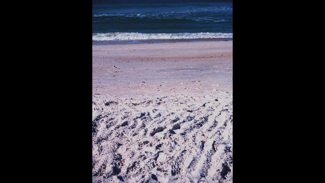 A 17-year-old Canadian tourist visiting Florida for swim camp died while doing drills in the Gulf of Mexico, officials say.