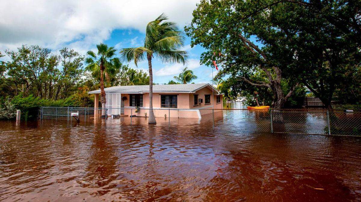 Life in Florida means storms — and mold. What to know about cleaning up the fungi