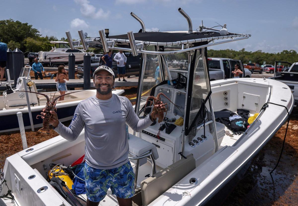 Pembroke Pines resident Santiago Figueroa, 31, a biochemical engineer, holds two lobsters his crew caught as he and other boaters returned to Matheson Hammock Marina with their catch. The 48-hour miniseason for Florida’s spiny lobster opened Wednesday, July 27, 2022 as S. Floridians headed out to take advantage of the abbreviated annual event along the Sunshine State’s coastline.