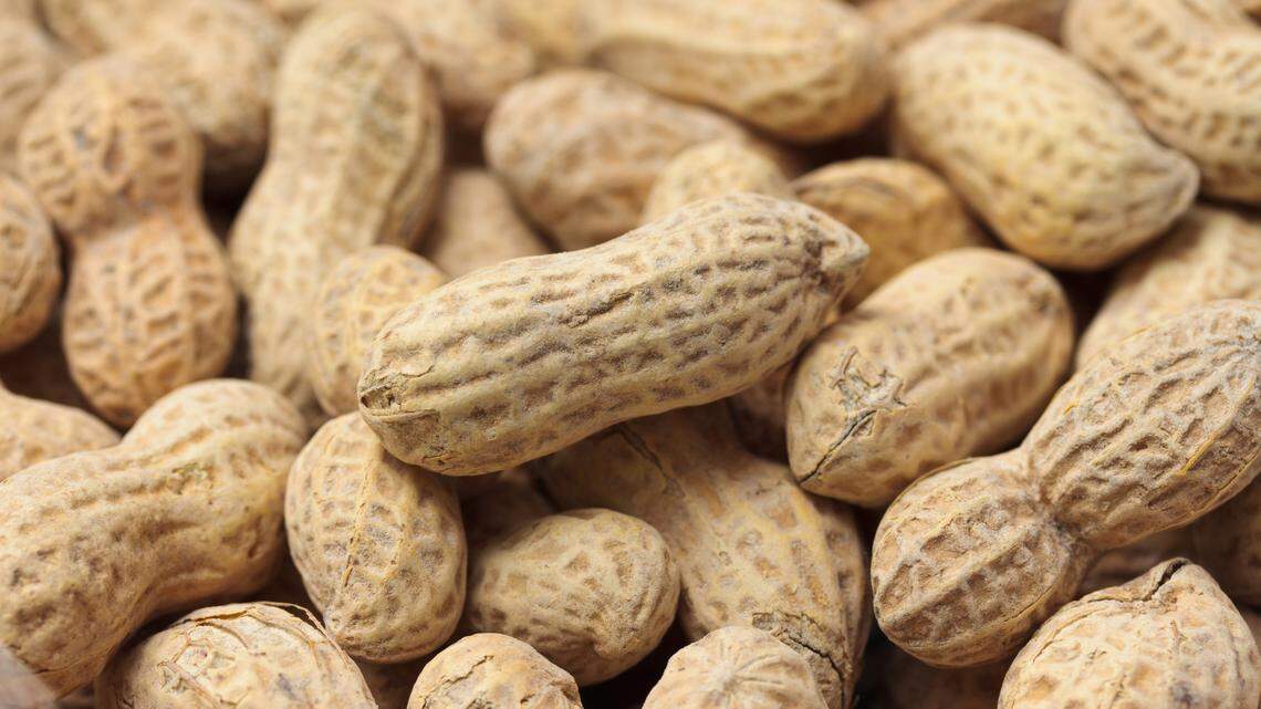 When it comes to introducing babies to peanuts, guidelines are based on research that shows early exposure can lower a baby’s chance of developing peanut allergies. (Brad Calkins/Dreamstime/TNS)