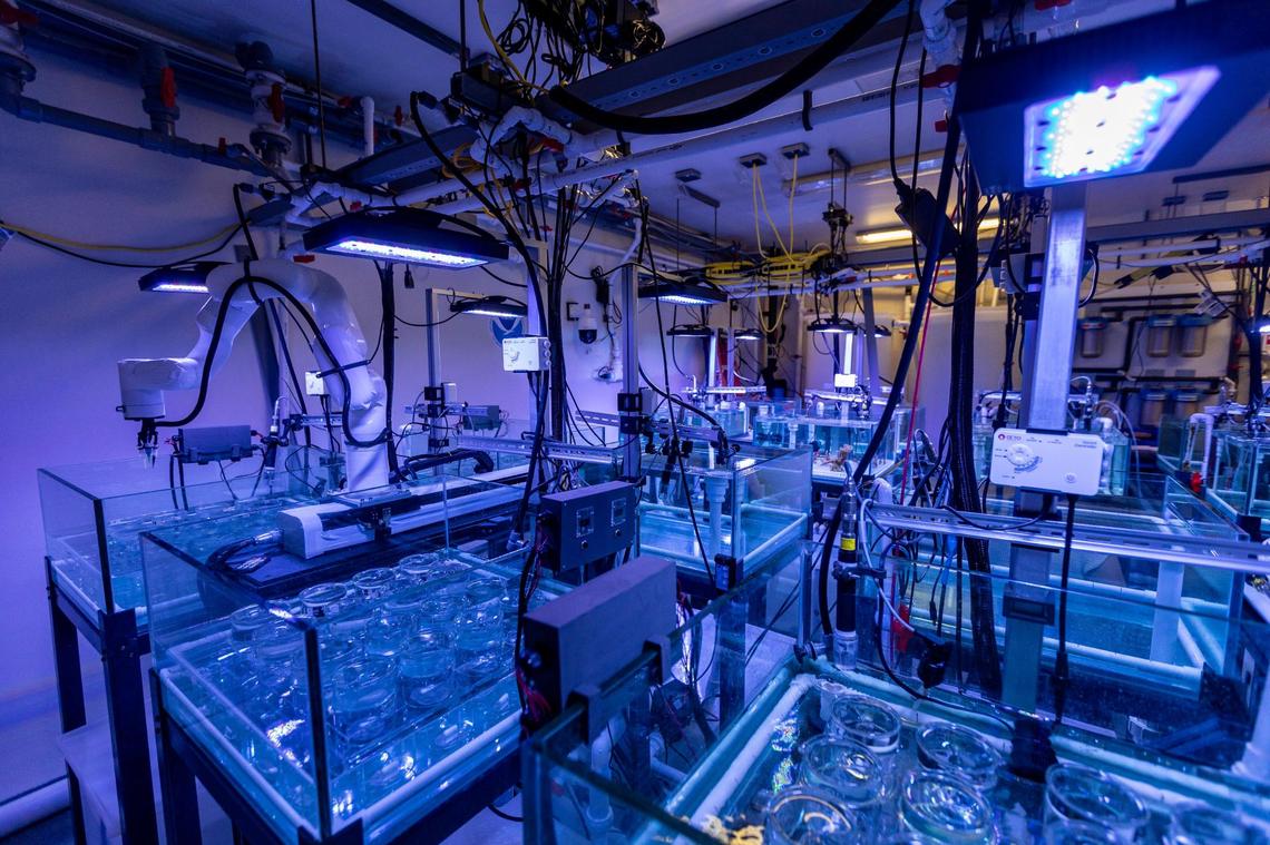 Miami, Florida, August 1, 2023 - Robots in the lab at the Rosenstiel Campus at 4600 Rickenbacker Cswy, Miami, FL 33149