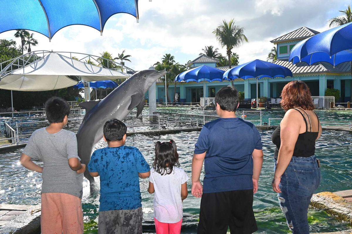 Pedro Vasquez ,11, Mario Vasquez, 8, Aubrey Vasquez, 5, Jayden Vasquez, 9, and their mother Laura Canchola at the Miami Seaquarium in December 2022 after the Miami Herald and el Neuvo Herald Wish Book ran the family’s story. The attraction offered the family a day at the park.