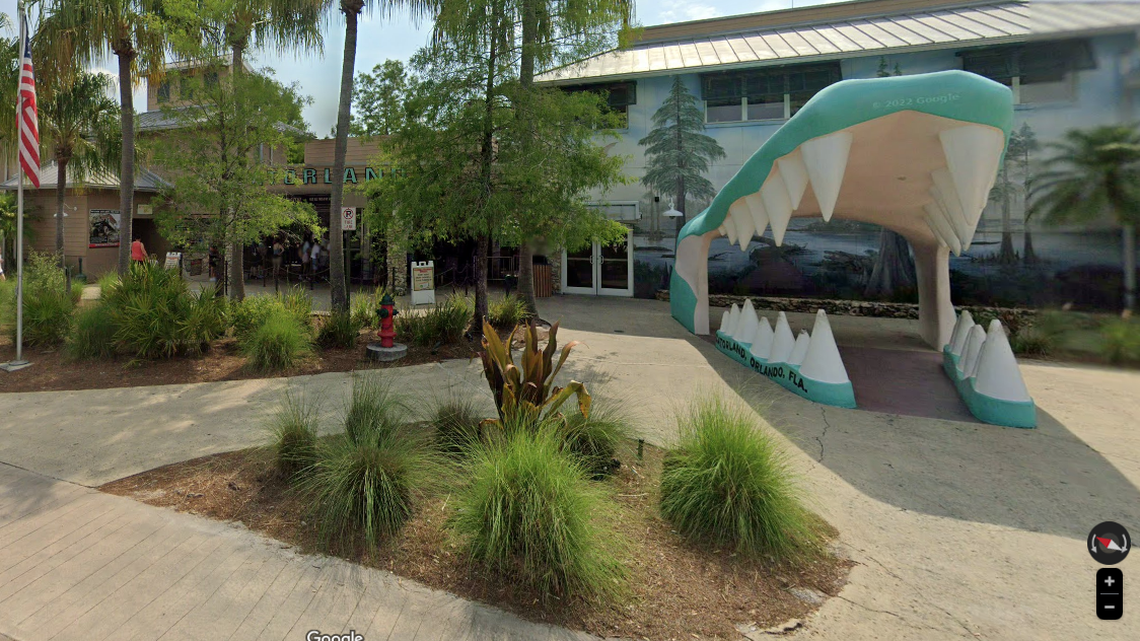 The first white leucistic gator hatched by humans is now on display with her brother at Gatorland in Orlando.