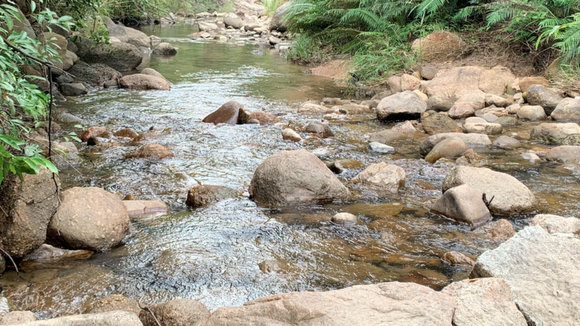 In a river in southern China, a small fish with a red belly swims between the boulders.