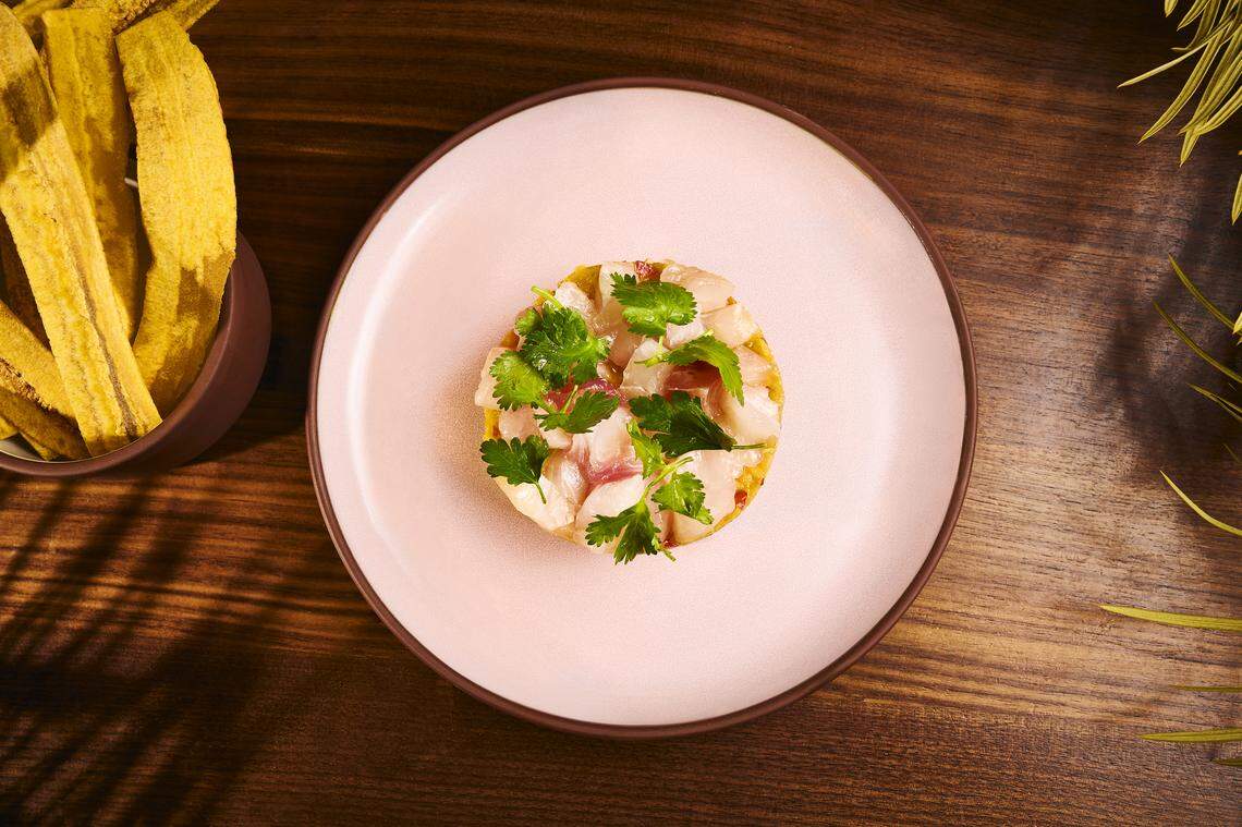 Snapper at Las’ Lap in Miami Beach.