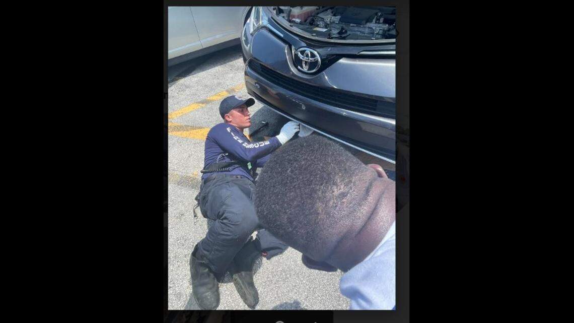 Lauderhill firefighters Jack Vandermeulen and Jamal Clarke rescuing cat outside the Swap Shop/Lauderhill Fire Rescue