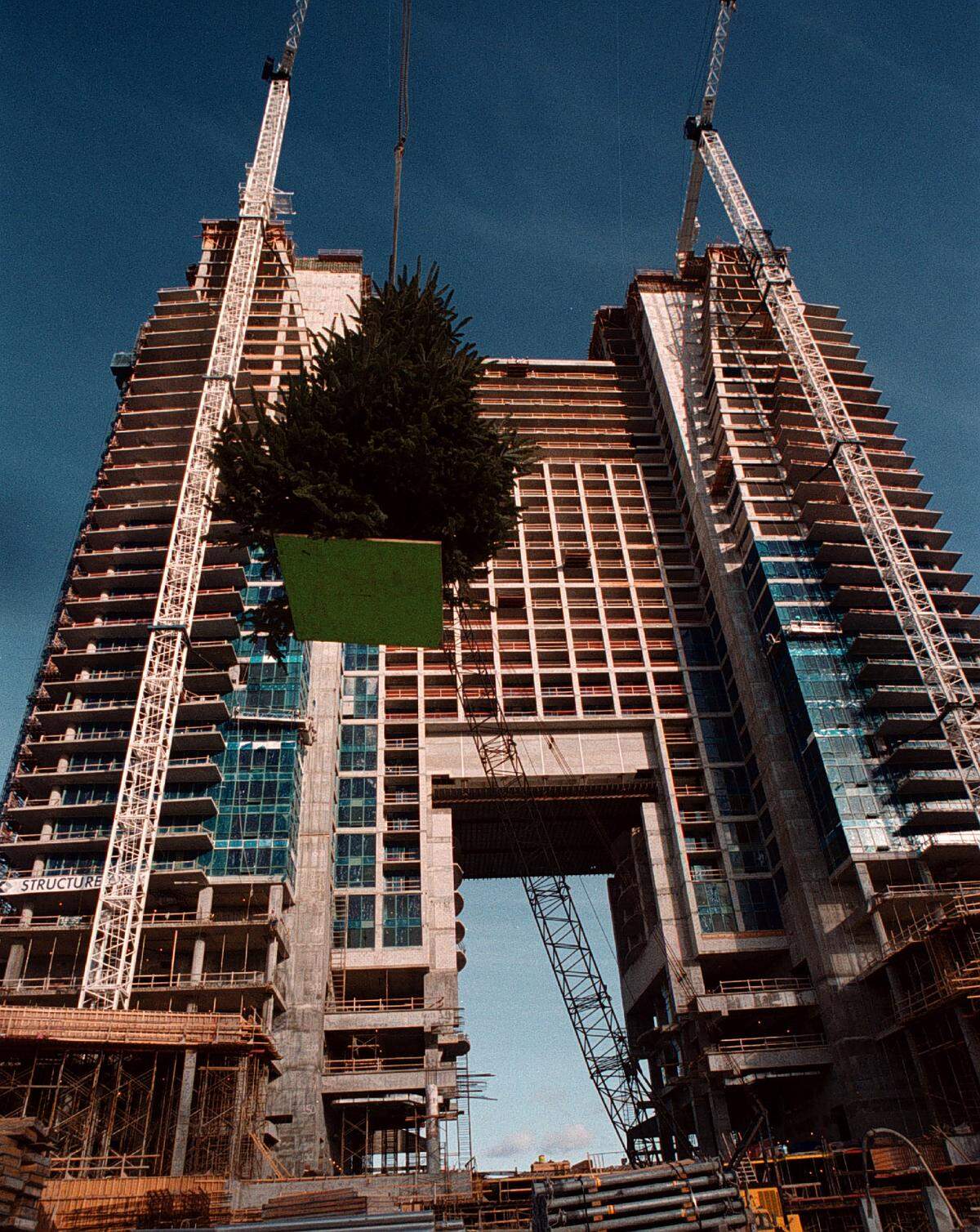 A Christmas tree is hoisted to the top of the new Diplomat Hotel as workers topped out the building at 39 stories.