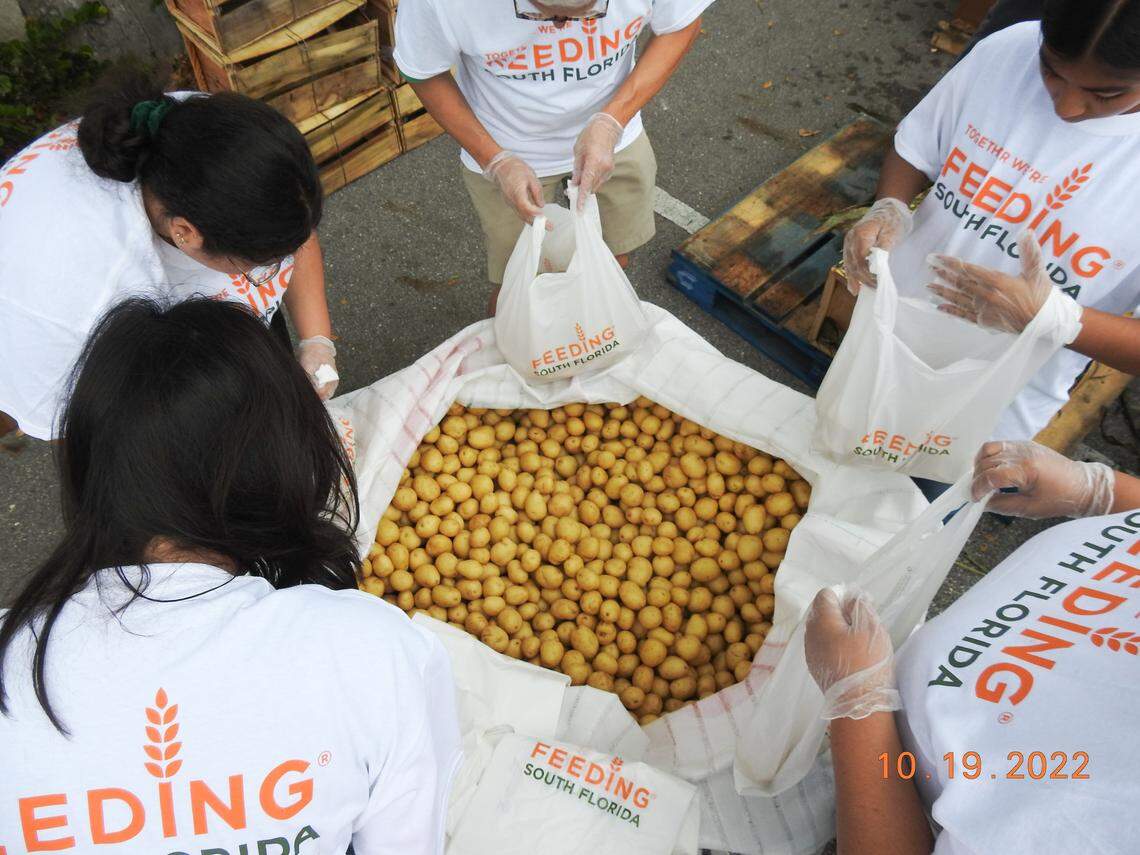 Feeding South Florida Volunteers sorting food.