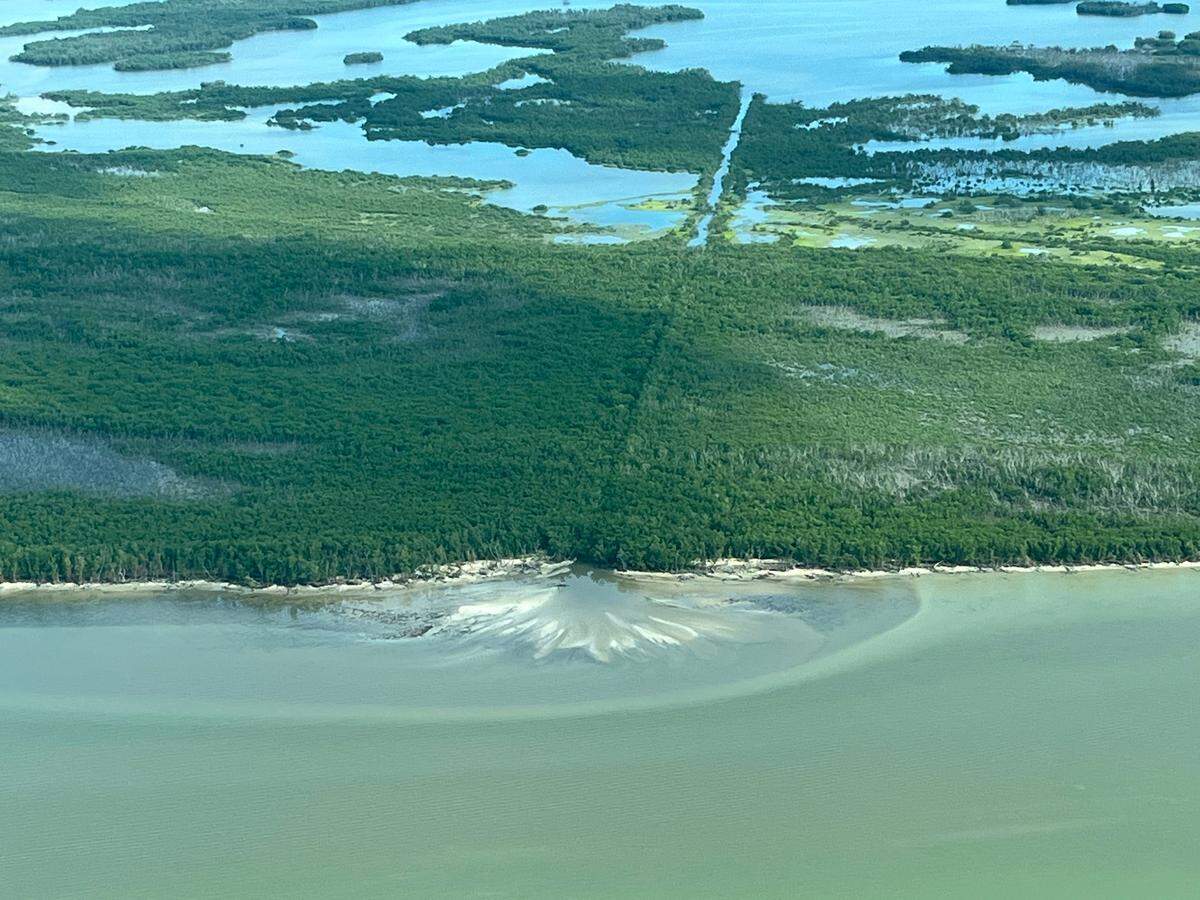 An aerial survey of the Everglades after Hurricane Ian showed some new blowouts along the coast of Cape Sable from the excess rain and storm surge.