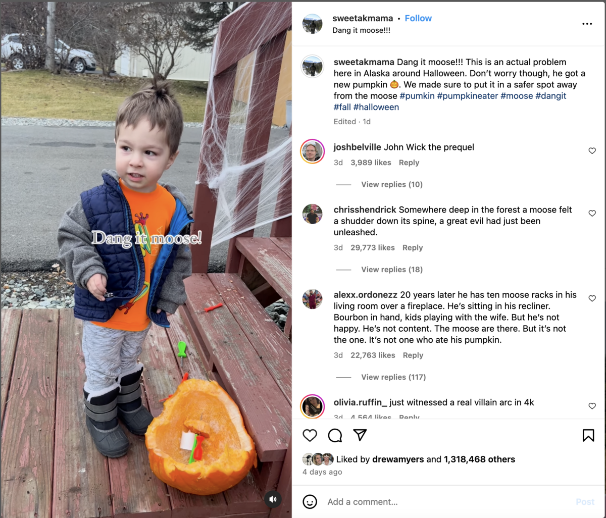 Mom films her son’s reaction to a moose eating his pumpkin and it goes viral.