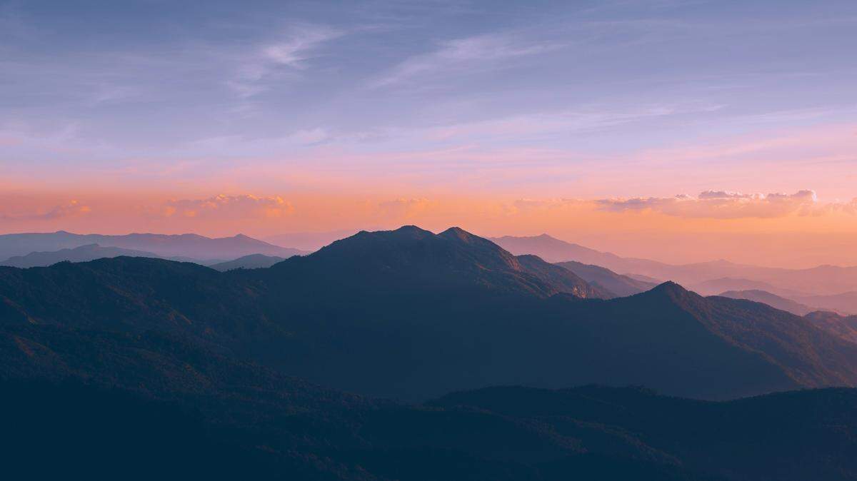 The new species was discovered in Doi Inthanon National Park, home of the highest peak in Thailand, researchers said.