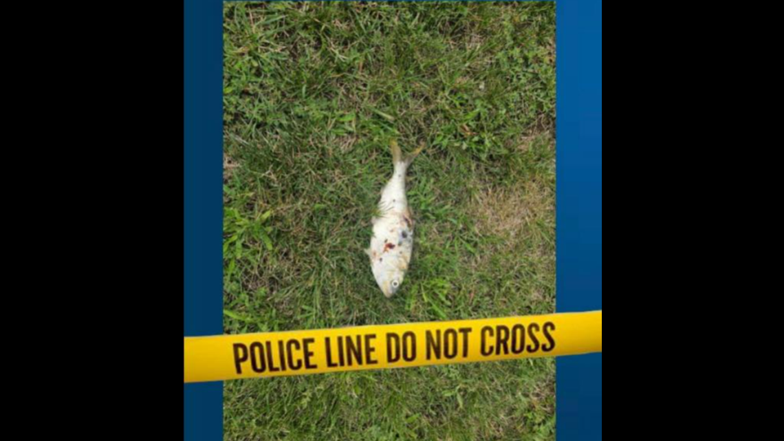 A fish destroyed a transformer, causing a power outage for many residents in Sayreville, New Jersey, police say.