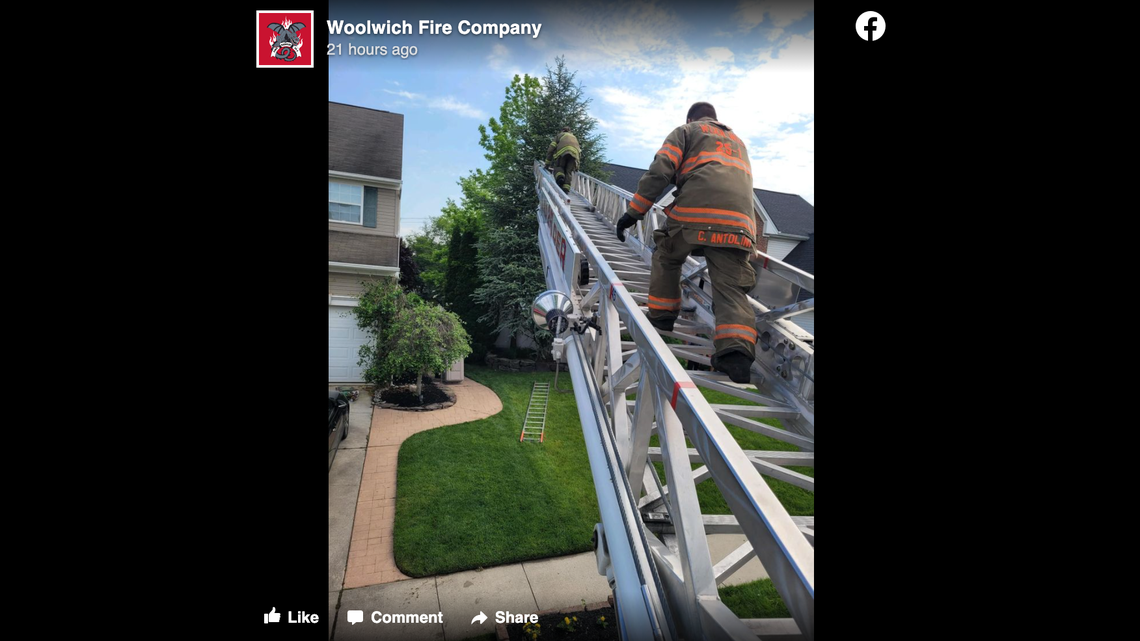 Firefighters in New Jersey rescued a 4-foot reptile, a monitor lizard, from a tree in New Jersey, they say. A woman found the animal sunbathing in the tree.